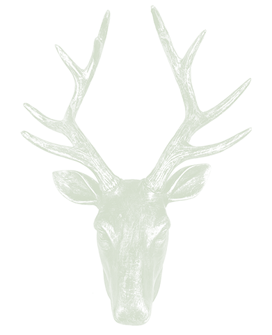 holly-farm-house-deer